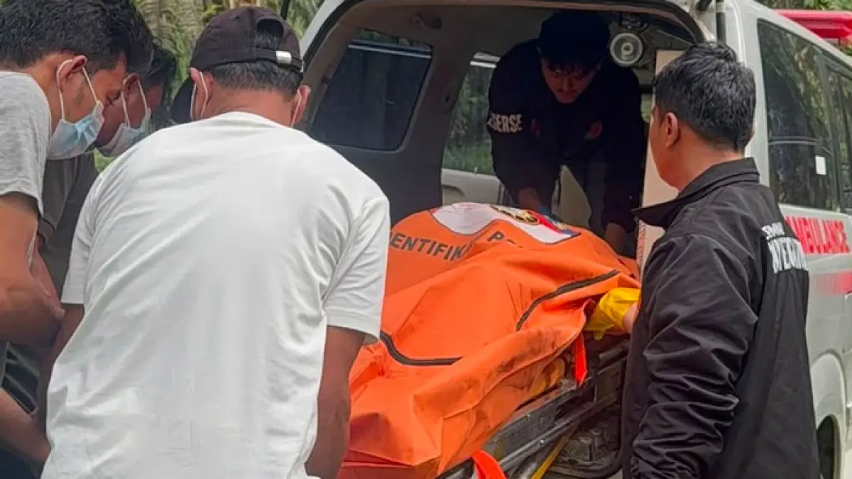 Personel Identifikasi Satreskrim Polres Pelalawan melakukan evakuasi penemuan mayat di kebun sawit milik warga Desa Tambun, Kecamatan  Bandar Petalangan, Kabupaten Pelalawan, Ahad (5/7/2026) kemarin. (Istimewa)