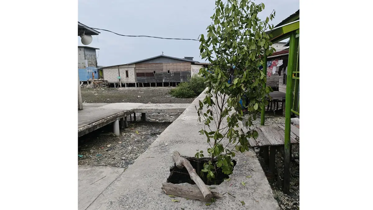 Kondisi salah satu ruas jalan di Kepenghuluan Teluk Pulai, Kecamatan Palika, Kabupaten Rokan hilir  yang rusak berlubang dan oleh warga diberi tanda dengan dahan pohon, baru-baru ini.(Warga untuk riau pos)