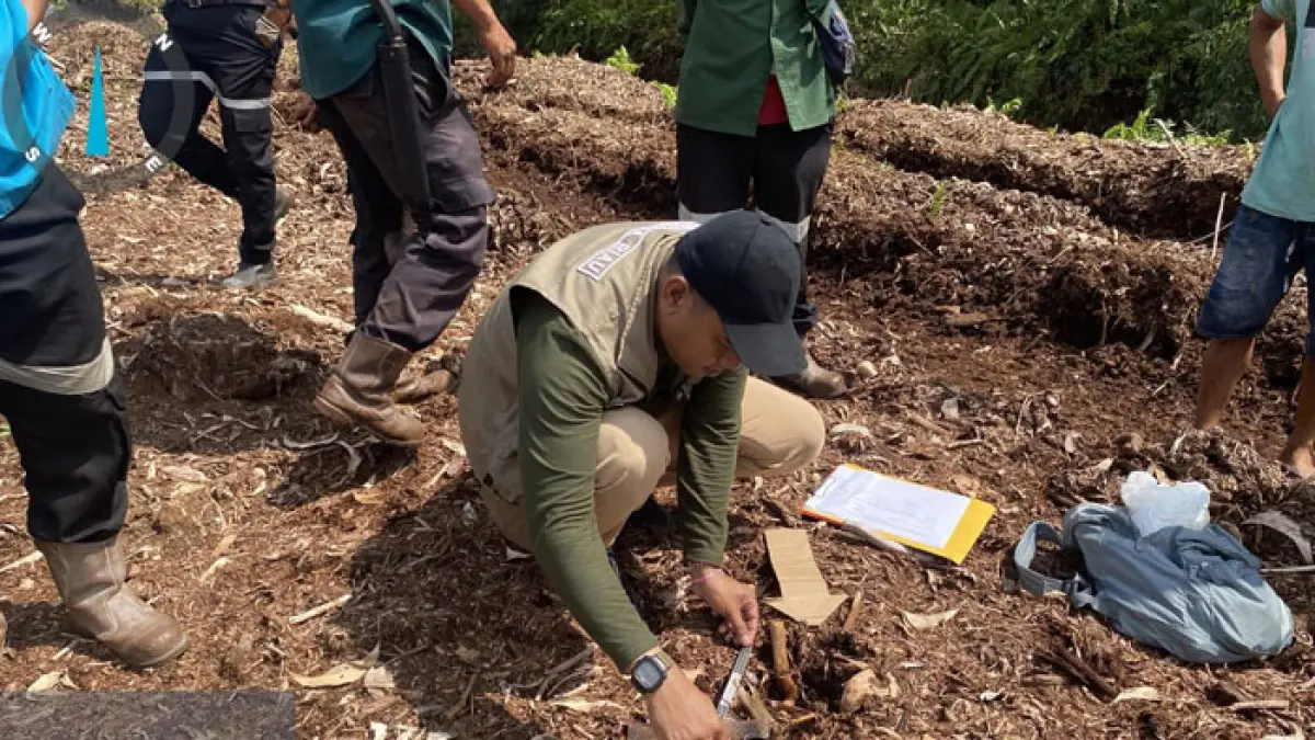 Tim BBKSDA Riau melakukan identifikasi lokasi insiden terkaman Harimau di Camp Pekerja HTI di Pelalawan, Riau yang terjadi pada Selasa (7/7/2026). (Humas BBKSDA Riau untuk Riaupos.co)