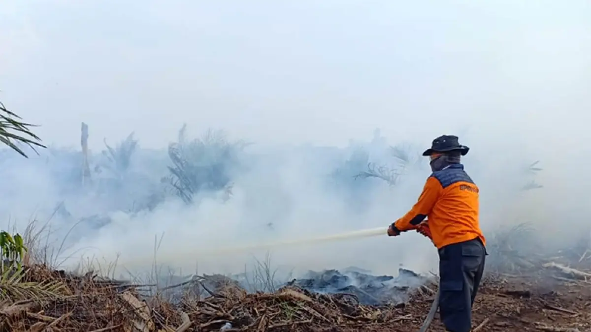 Tim gabungan melakukan pemadaman api karhutla di salahsatu titik di Provinsi Riau, baru-baru ini. (Dok Riaupos.co)
