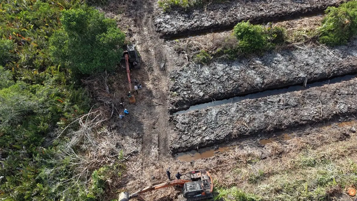 Dua alat berat masih terpakir usai digunakan pihak yang tidak bertanggung jawab untuk membabat hutan mangrove di Kepenghuluan Pasir Limau Kapas, Kecamatan Pasir Limau Kapas, Kabupaten Rokan Hilir, baru-baru ini. (POLDA RIAU UNTUK RIAU POS)