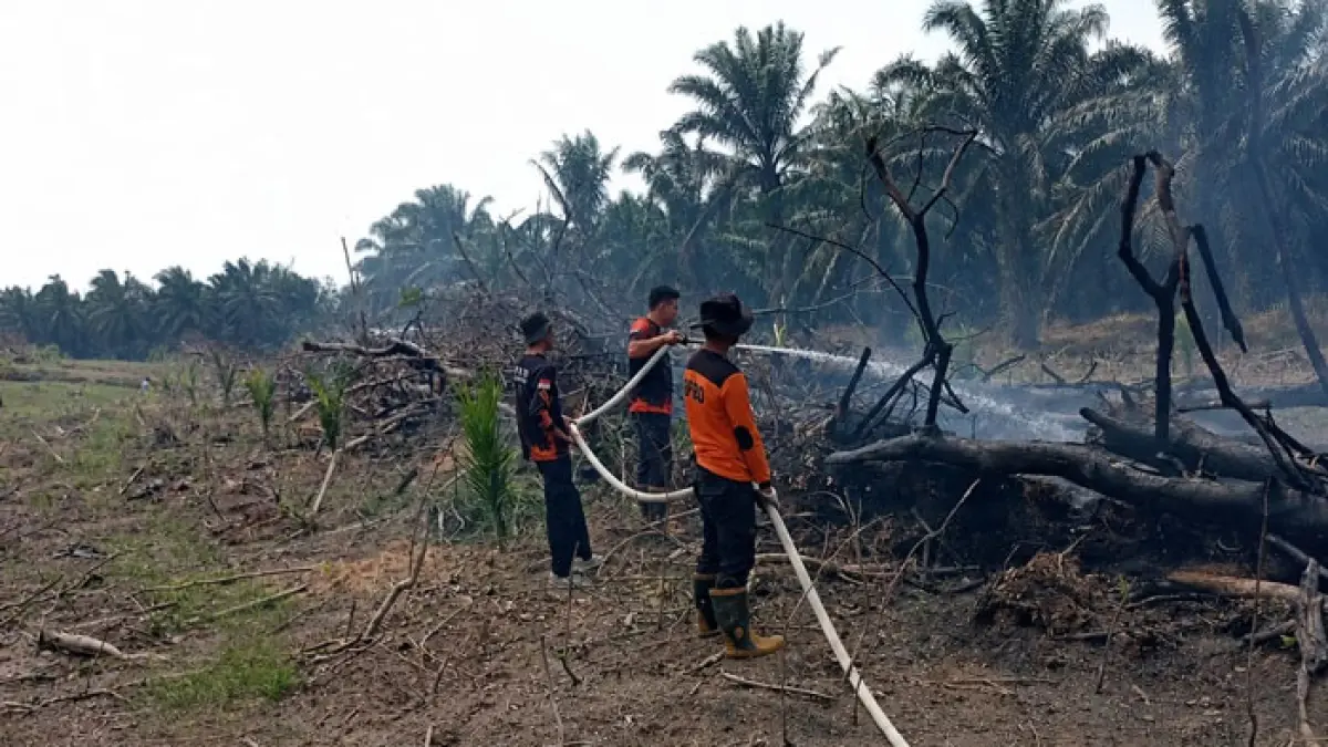 BPBD Kabupaten Kampar berhasil memadamkan karhutla yang terjadi di Desa Empat Balai, Kecamatan Kuok, Kabupaten Kampar, Jumat (17/7/2026). (BPBD Kampar untuk Riaupos.co)