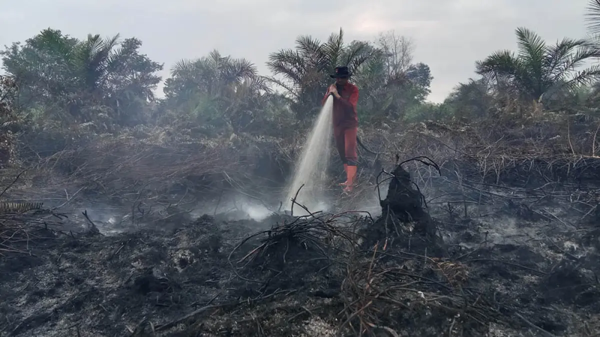 Personel Manggala Agni saat memadamkan api yang membakar lahan di Dumai, baru-baru ini. (Manggala Agni&nbsp;UNTUK Riau Pos)