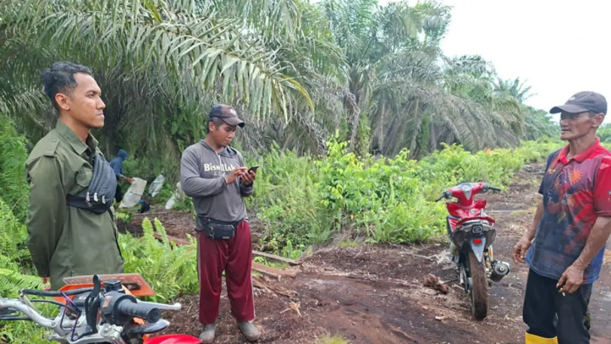  Tim BBKSDA Riau bersama sejumlah warga turun ke lokasi kemunculan harimau di Desa Mengkapan, Sungai Apit, Siak, Senin (20/7/2026).(Humas BBKSDA Riau untuk Riaupos.co)