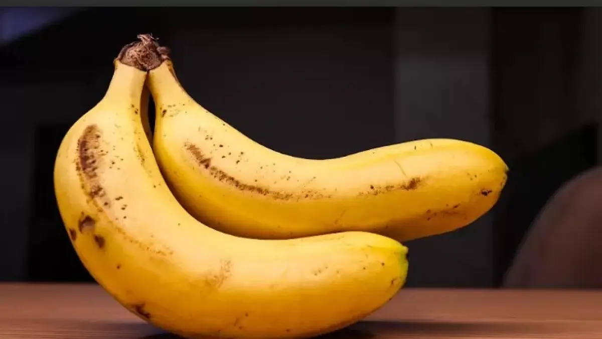  Ilustrasi: Pisang Ambon mempunyai kandungan nutrisi dan punya banyak khasiatnya bagi tubuh. (Freepik)
