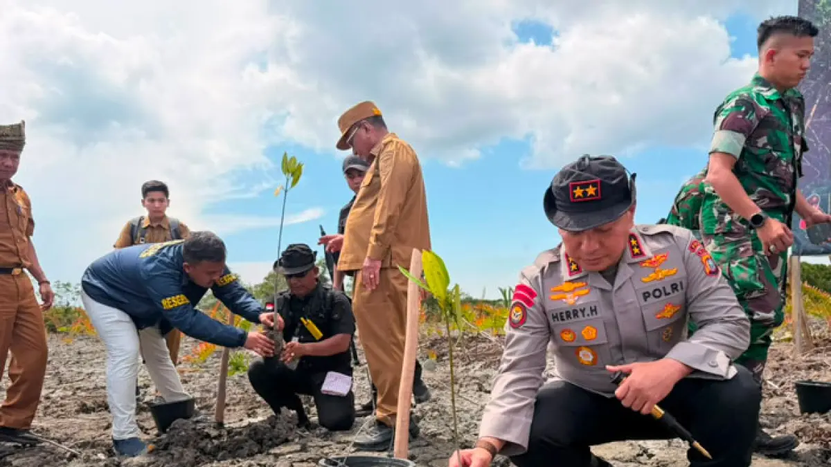 Kapolda Riau Irjen Pol Herry Heryawan saat menanam kembali pohon mangrove di Rokan Hilir, Jumat (23/7/2026). (Istimewa)