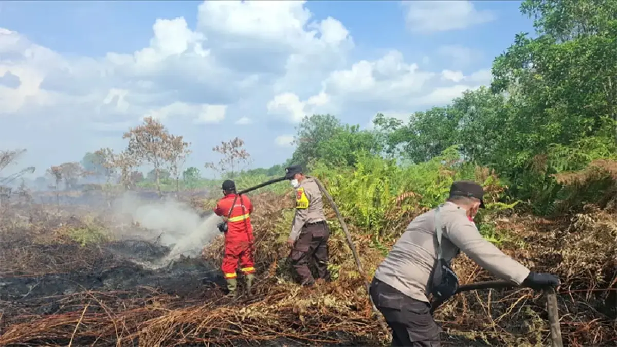 Tim Satgas Gabungan melakukan pemadaman dan pendinginan di lokasi kebakaran lahan di antara Kecamatan Mandau dan Pinggir, belum lama ini. (Dok Riaupos.co)