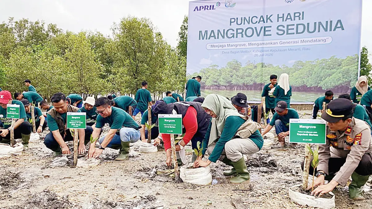 Kegiatan penanaman 2.000 bibit mangrove di Desa Bagan Melibur, Kecamatan Merbau, Kabupaten Kepulauan Meranti dalam rangka peringatan Hari Mangrove Sedunia, Ahad (26/7/2026). (RAPP UNTUK RIAU POS)