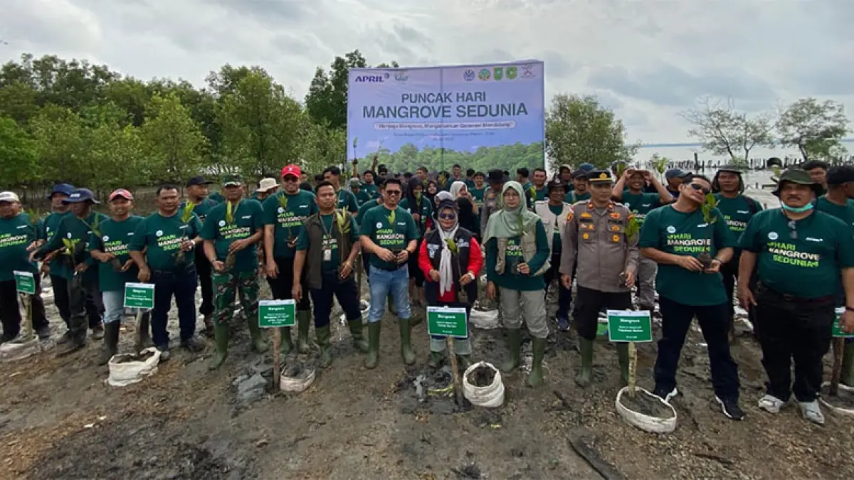 Penanaman mangrove di Desa Bagan Melibur, Kecamatan Merbau, Kabupaten Kepulauan Meranti dalam rangka peringatan Hari Manggrove Sedunia. (Istimewa)