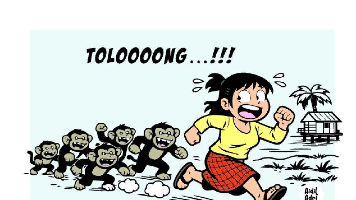 ALAMAAAK!!! DIKEJAR MONYET!