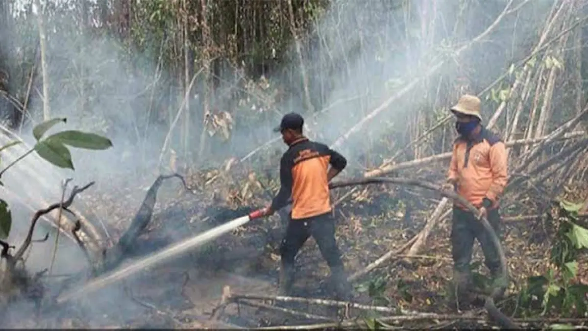 Tim Manggala Agni melakukan pemadaman karhutla di Kabupaten Siak, belum lama ini. (Dok Riaupos.co)