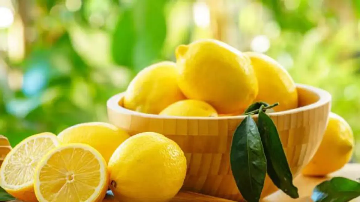 Ilustrasi lemon. (Sumber foto: Cleveland Clinic)