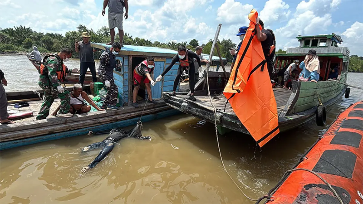 Proses evakuasi Amir (50), warga Desa Teluk Belitung pada Rabu (5/8/2026) siang. (Wira Saputra)