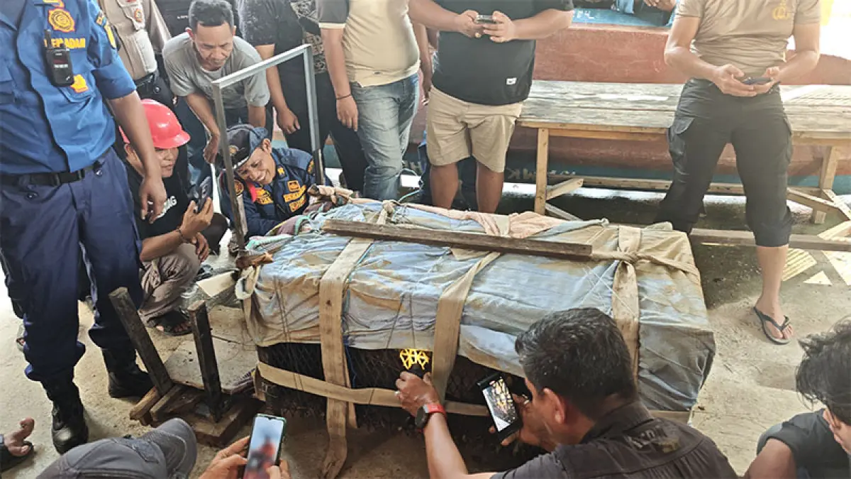 Tim gabungan mengevakuasi monyet yang berhasil masuk perangkap di Jalan Tampomas Parit 14, Kecamatan Tembilahan, Kamis (6/8/2026).(Istimewa)