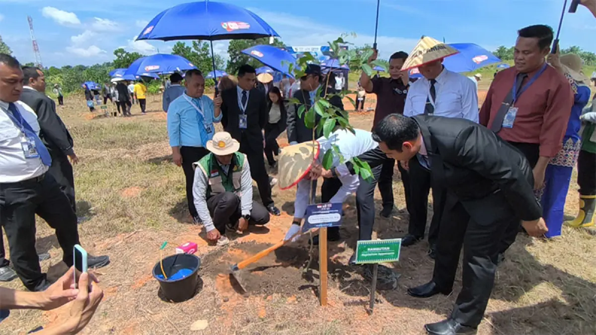 Wako Agung Nugroho didampingi Wawako Markarius Anwar bersama delegasi IMT-GT GCMC melakukan penanaman pohon di kawasan Perkantoran Wali Kota Pekanbaru di Tenayan Raya, Kamis (6/8/2026). (M ALI NURMAN)