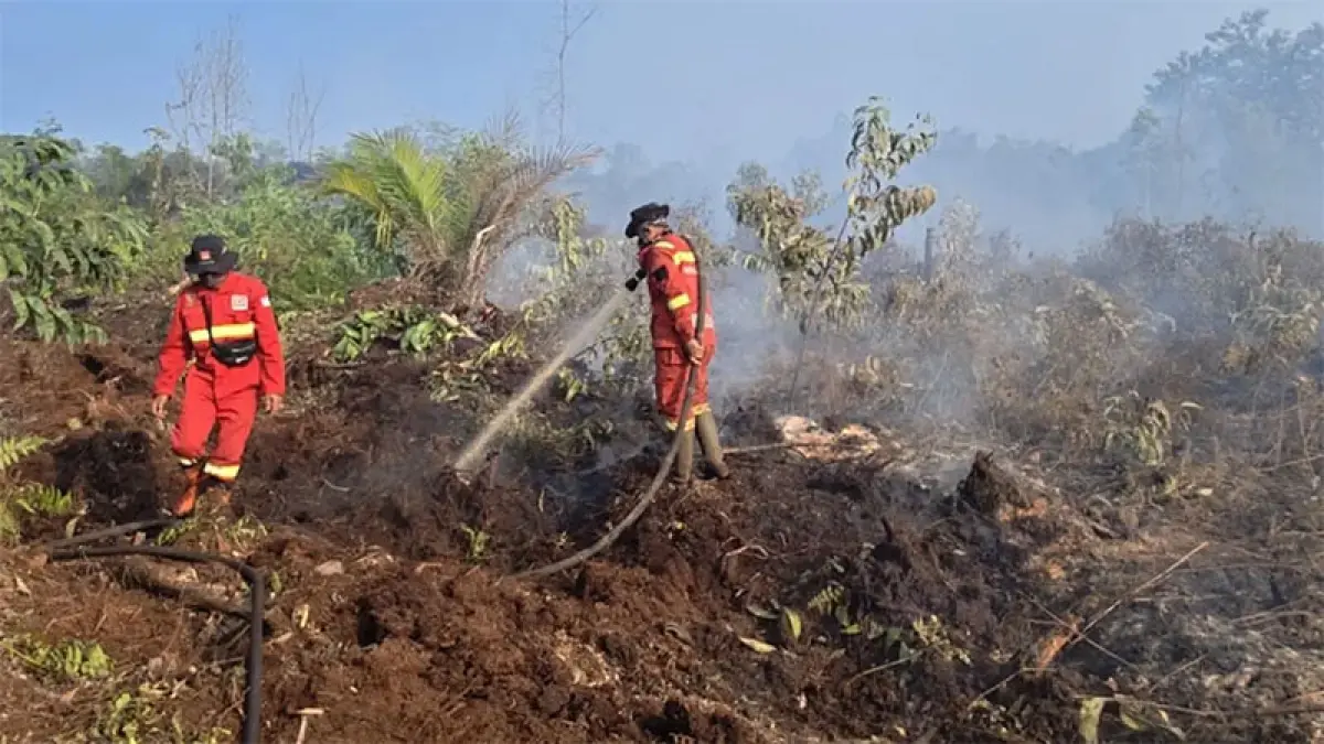 Petugas Manggala Agni melakukan pemadaman karhutla di Rantau Bais, Rohil. (Manggala Agni untuk Riaupos.co).
