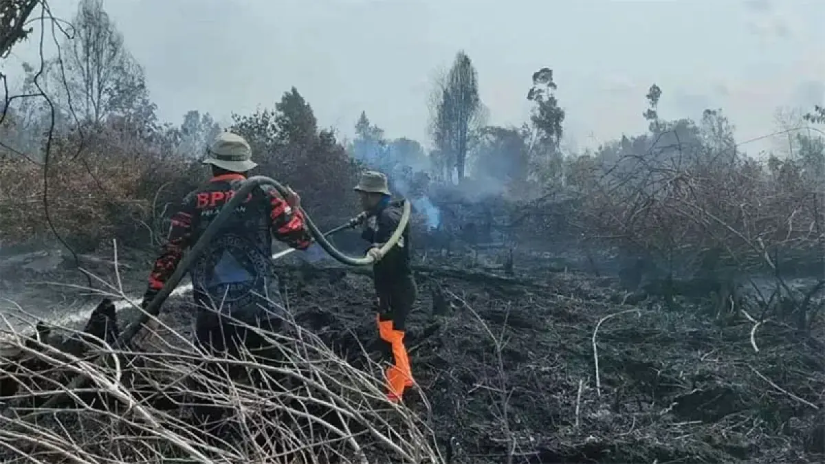 Personel BPBD melakukan pendinginan karhutla di salah satu titik di wilayah Riau, beberapa waktu lalu. (Dok Riaupos.co)

