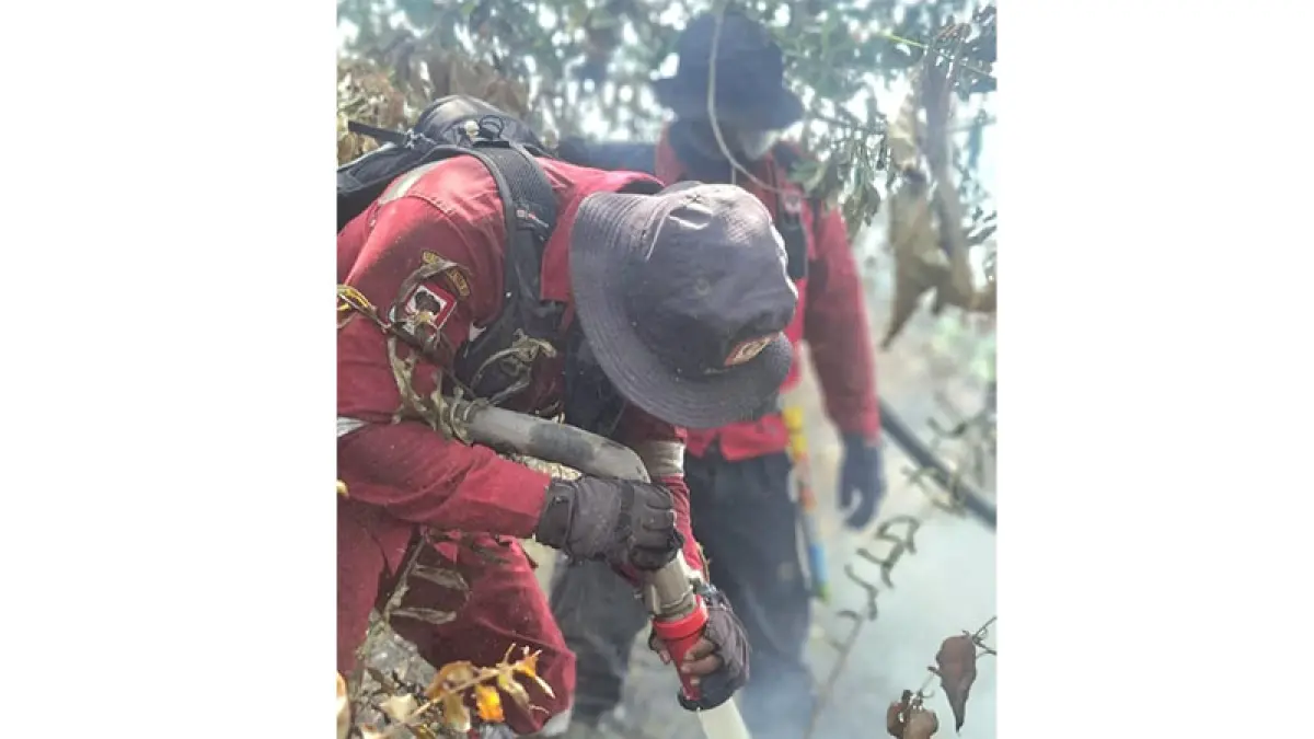 Tim gabungan dari Manggala Agni Daops Rengat menembakkan selang air untuk pemadaman api di dalam gambut di Desa Sungai Guntung Hilir Kecamatan Rengat, Jumat (7/8/2026). (Manggala Agni Daops Rengat)