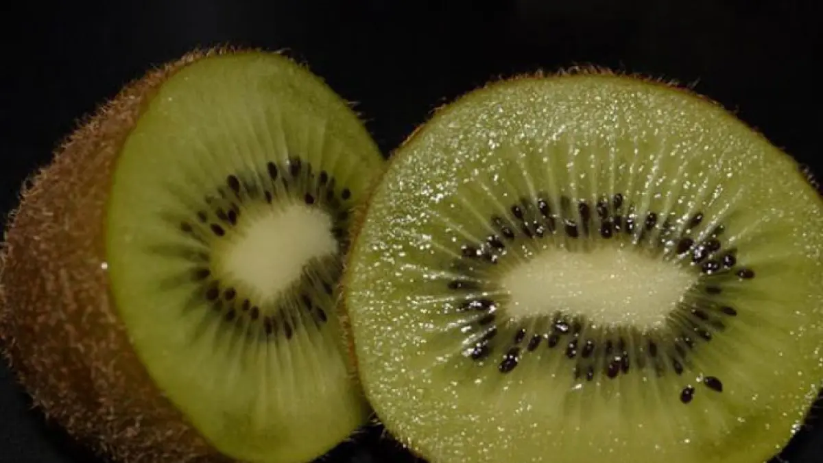 Ilustrasi buah kiwi. (Jawapos.com) 