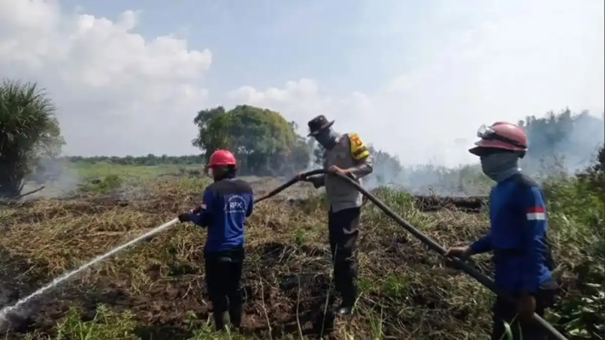 Tim gabungan melakukan upaya pendinginan karhutala di Dusun Air Kuning Kelurahan Kerumutan, Kecamatan Kerumutan yang berhasil dipadamkan, Ahad (9/8/2026). (Amin/Riaupos.co)