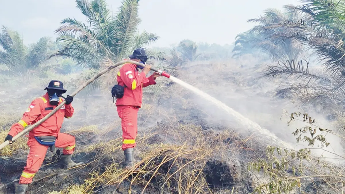Tim Gabungan dari Daops Manggala Agni Rengat berupaya memadamkan api yang membakar lahan di Desa Sungai Guntung Hilir, Kecamatan Rengat, Kabupaten Indragiri Hulu, Sabtu (8/8/2026). (Manggala Agni Daops Rengat untuk Riau Pos&nbsp;)
