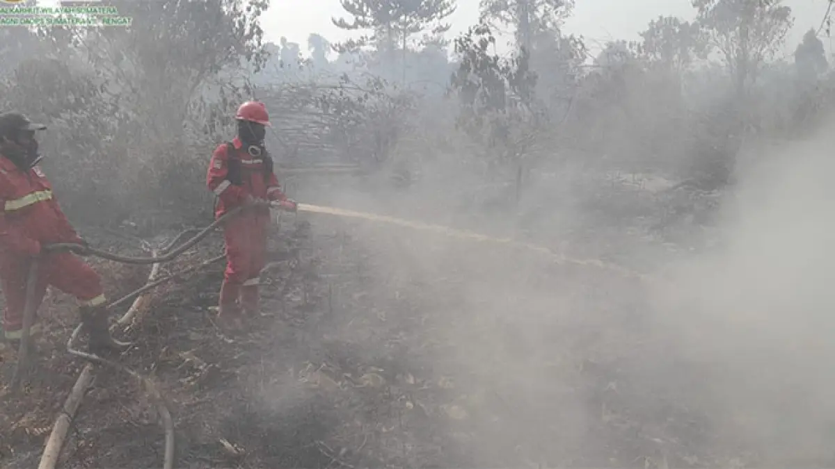 Tim Manggala Agni masih melakukan pemadaman dan pendinginan di areal Karhutla Desa Sungai Guntung Hilir Kecamatan Rengat, Selasa (11/8/2026). Foto Manggala Agni Rengat