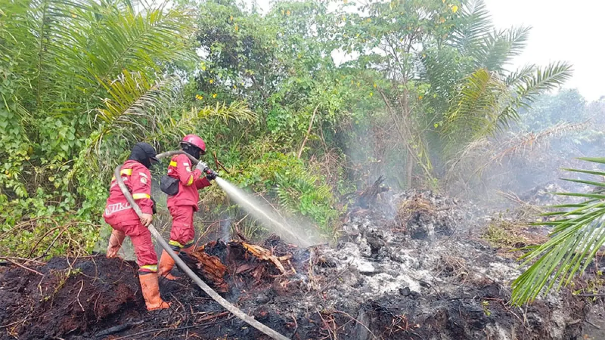 Tim Manggala Agni melakukan pemadaman di lahan terbakar di wilayah Kepenghuluan Palika, Rohil, Selasa (11/8/2026). (Manggala Agni).