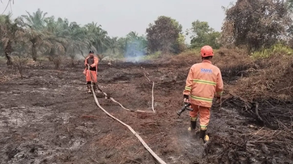 Tim Satgas TRC Pusdalops-PB BPBD Kampar bersama personel gabungan melakukan pemadaman Karhutla di Desa Tarai Bangun, Kecamatan Tambang, Selasa (11/8/2026). BPBD Kampar untuk Riaupos.co