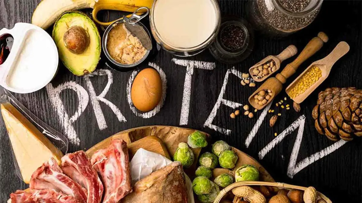 ilustrasi makanan protein. (freepik)

