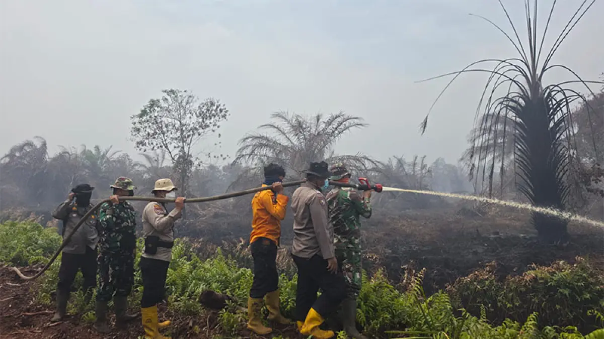 Petugas masih berjibaku melakukan pendinginan api Karhutla di Jalan Reformasi, Dusun Tambusu, Desa Buluh Apo, Kecamatan Pinggir, Bengkalis, Selasa (11/8/2026). (Istimewa)