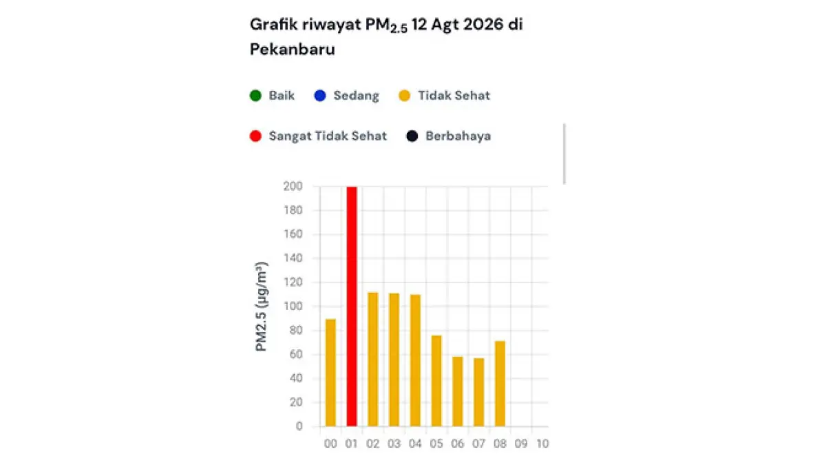 Tangkapan layar grafis kualitas udara Pantauan BMKG menunjukkan kualitas udara Pekanbaru, Rabu (12/8/2026) tidak sehat, sempat sangat tidak sehat dini dini hari. (ISTIMEWA)