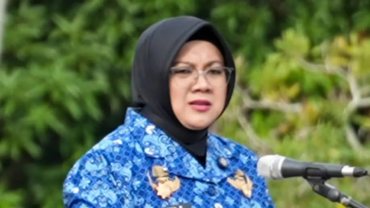 AFNI Z. (JPG)