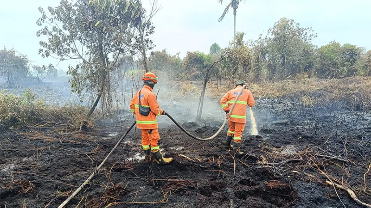 Tim TRC BPBD Kampar bersama Satgas Gabungan mèmadamkan api di Jalan Swadaya, Desa Rimba Panjang, Kecamatan Tambang, Kabupaten Kampar, Kamis (13/8/2026). BPBD untuk Riaupos.co