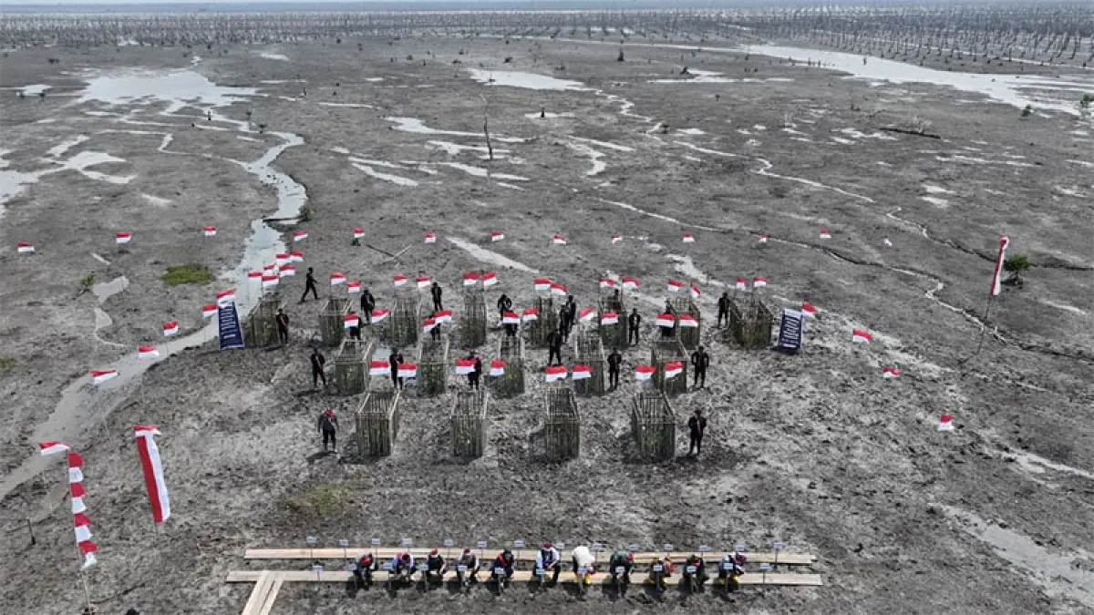 Menteri LH Jumhur Hidayat, Kapolda Irjen Herry Heryawan, Bupati Herman bersama Forkopimda menanam mangrove di kawasan pesisir Desa Kuala Selat, Kecamatan Kateman, Sabtu (15/8/2026). (Istimewa)