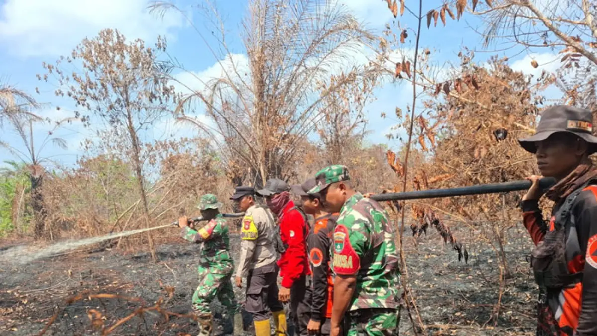 Petugas Gabungan melakukan pendinginan api Karhutla di Jalan Reformasi Dusun Tambusu Desa Buluh Apo, Kecamatan Pinggir, Bengkalis, Senin (17/8/2026). (Istimewa)