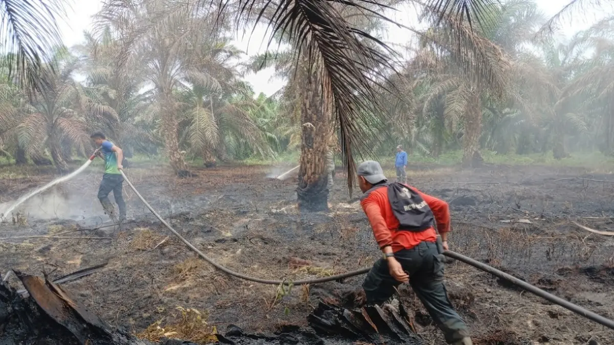 Fire Fighter PT RAPP melakukan pemadaman di Desa Sengkemang, Kecamatan Koto Gasib, Kabupaten Siak Sri Indrapura, Ahad (9/8/2026).