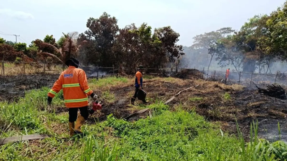 Tim TRC BPBD Kampar bersama tim gabungan memadamkan api yang membakar  lahan di Jalan Manunggal, Desa Rimbo Panjang, Kecamatan Tambang, Rabu (19/8/2026). (BPBD Kampar untuk Riaupos.co)