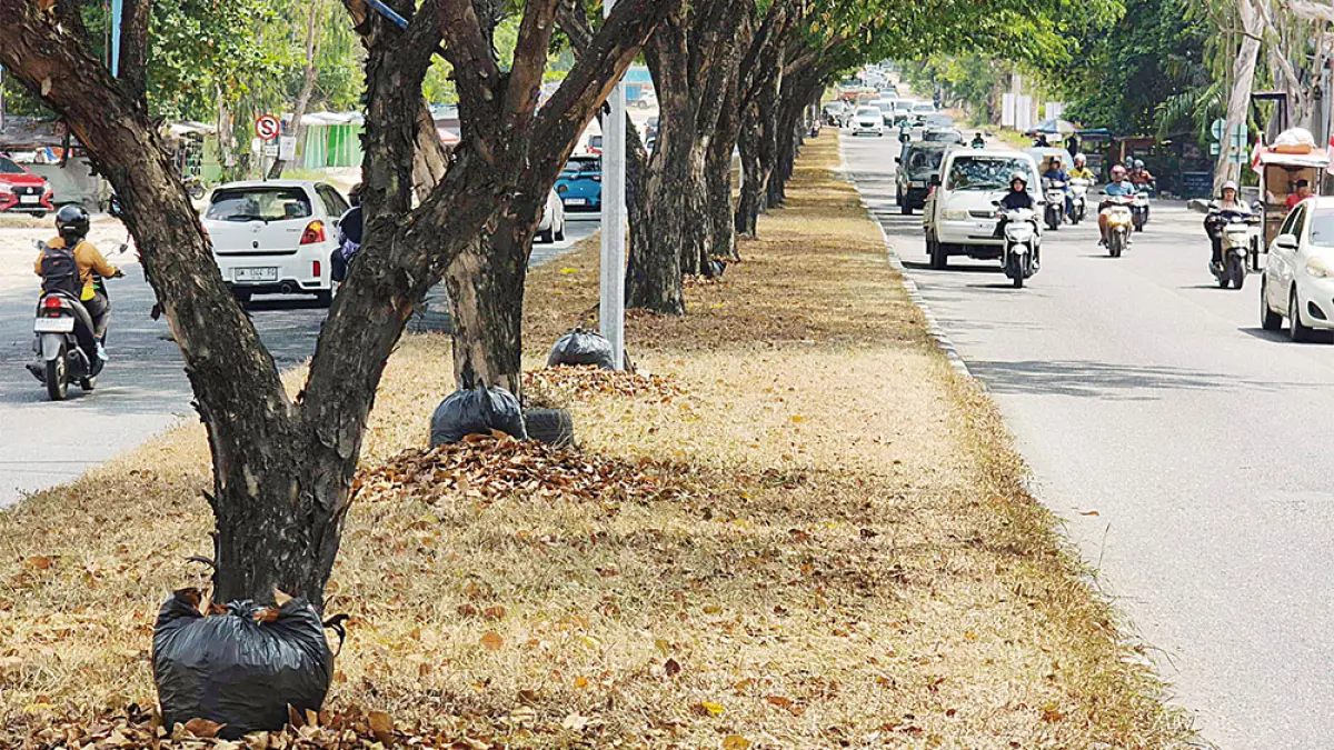KERING: Kondisi rumput di median Jalan Soekarno Hatta Pekanbaru mengering dampak dari cuaca ekstrem atau musim kemarau, Rabu (19/8/2026). (EVAN GUNANZAR/RIAU POS)