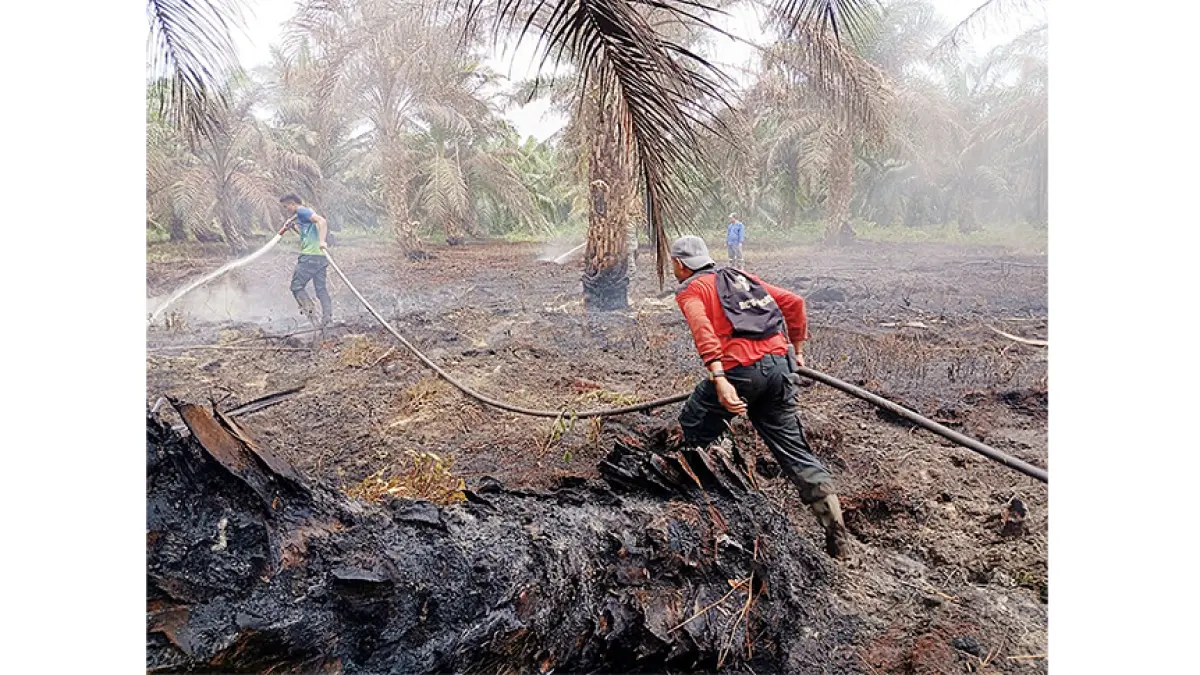 LAKUKAN PEMADAMAN: Fire fighter PT RAPP melakukan pemadaman Karhutla di Desa Sengkemang, Kecamatan Koto Gasib, Kabupaten Siak, Ahad (9/8/2026). (RAPP UNTUK RIAU POS)