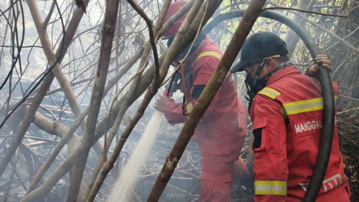 Personel Manggala Agni Rengat masih berjibaku memadamkan sisa bara yang mengeluarkan asap di areal Karhutla di Desa Sungai Guntung Hilir Rengat, Kamis (20/8/2026). (Manggala Agni Rengat untuk Riaupos.co)