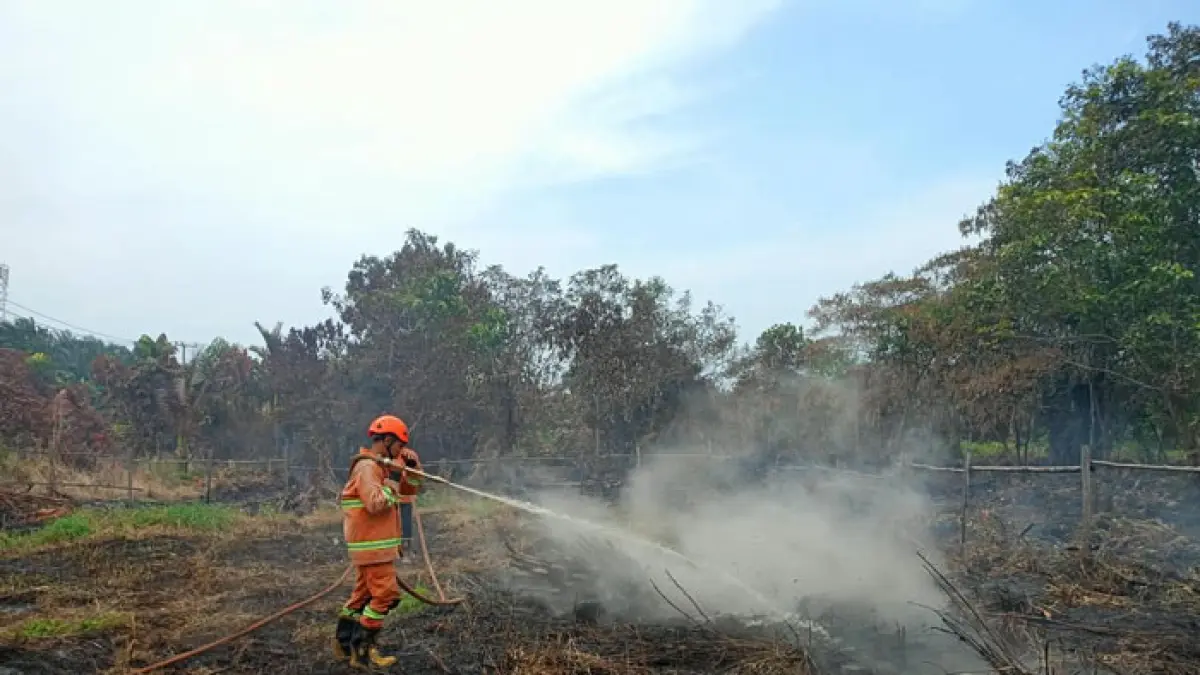 Tim TRC BPBD Kampar bersama Satgas Gabungan memadamkan api di Jalan Manunggal, Desa Tarai Bangun, Kecamatan Tambang. Dua titik kebakaran lahan yang terjadi di wilayah Kabupaten Kampar telah berhasil dipadamkan, Kamis (20/8/2026). (BPBD Kampar untuk Riaupos.co)