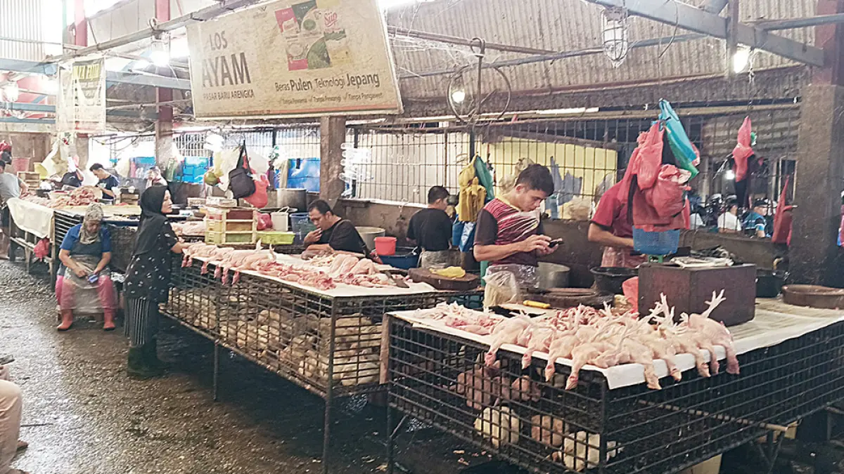Para pedagang ayam potong di Pasar Pagi Arengka, Pekanbaru, Kamis (20/8/2026). Komoditi pangan berupa ayam potong menembus harga Rp42 ribu per kilogram. (MHD AKHWAN/RIAUPOS)
