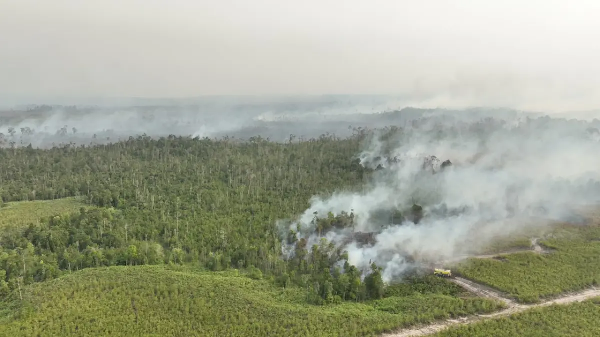 Penampakan titik kebakaran hutan dan lahan (Karhutla) baru di wilayah Kalimantan.(BNPB UNTUK RIAUPOS.CO).