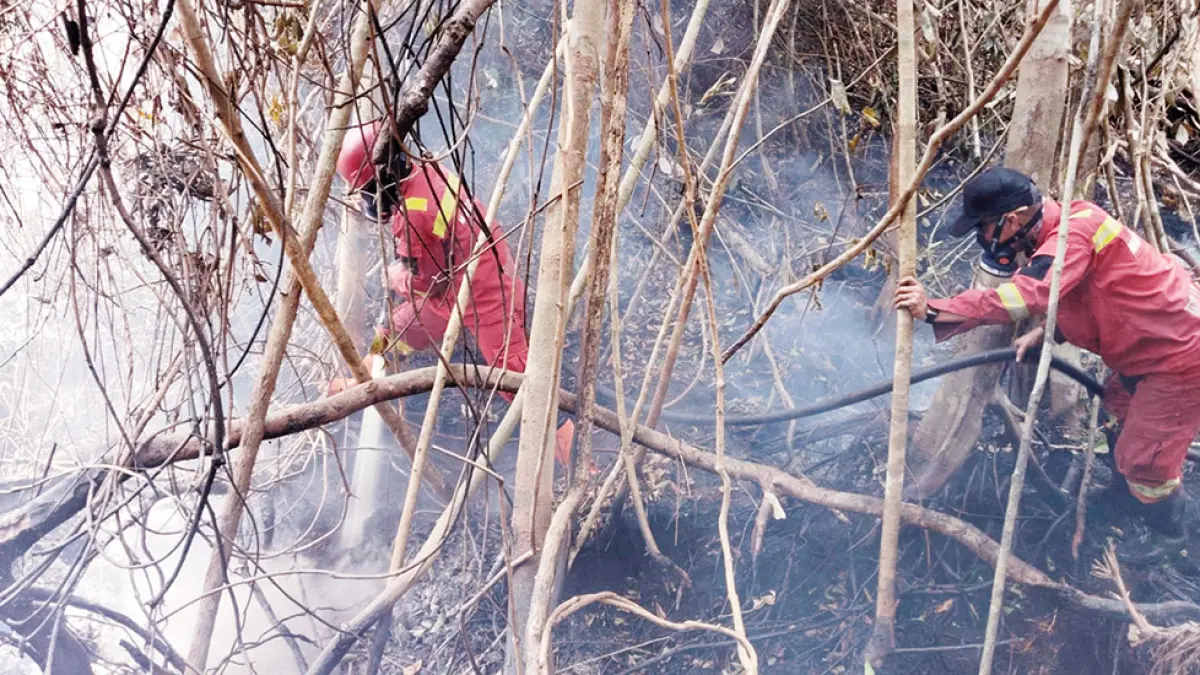 Personel Manggala Agni Sumatera VII Rengat masih berjuang memadamkan Karhutla di Desa Sungai Guntung Hilir, Kecamatan Rengat, Kabupaten Indragiri Hulu dengan pola penyiraman bara api, Kamis (20/8/2026).(Manggala Agni untu Riau Pos)
