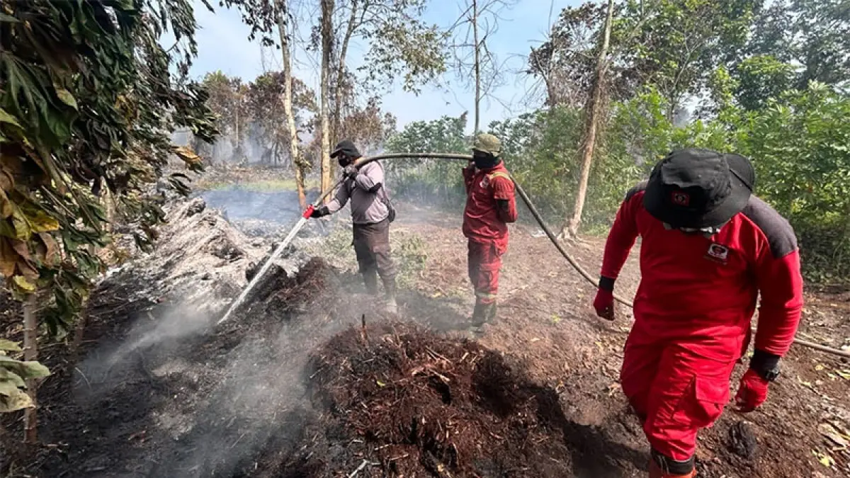 Tim Gabungan Polri, TNI dan Manggala Agni berjibaku menangani kebakaran hutan dan lahan di Desa Rimbo Panjang. (Istimewa)