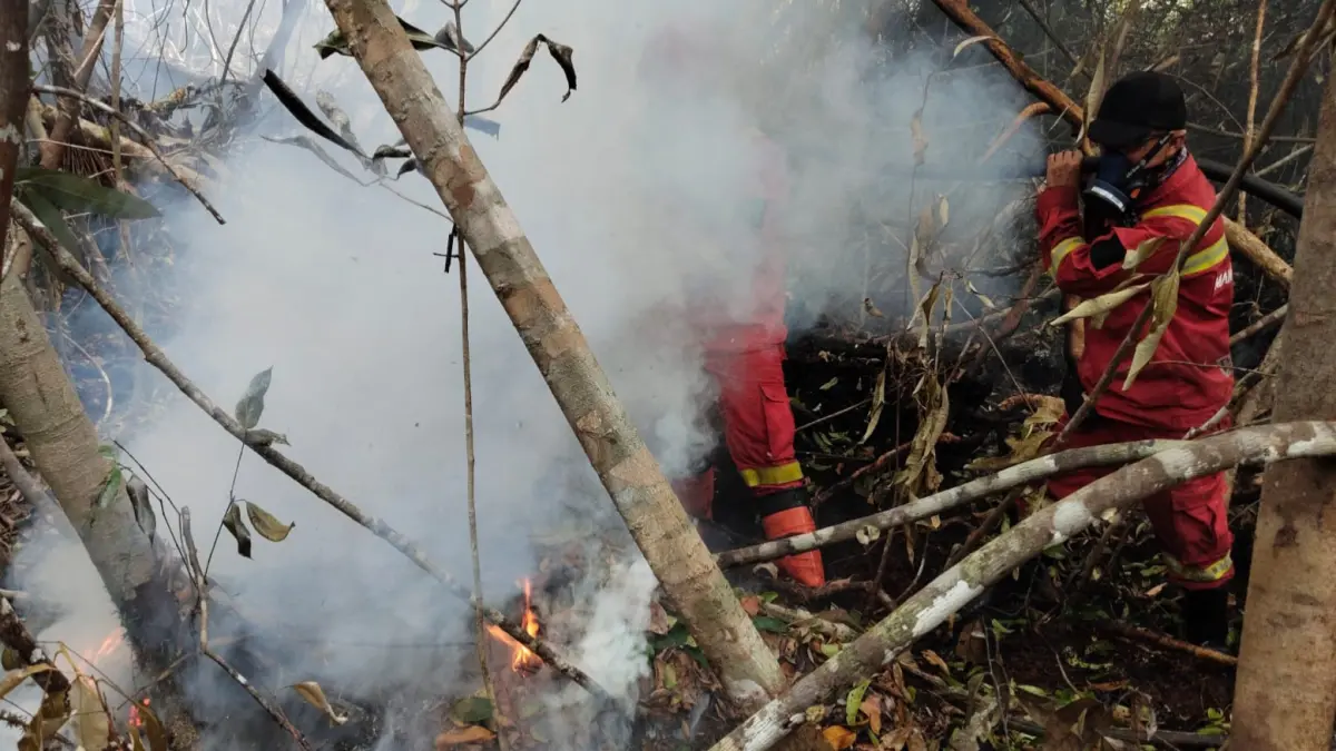 Tim&nbsp;Manggala Agni Sumatera VII Rengat melakukan pendinginan pada lahan yang masih mengeluarkan asap di Desa Sungai Guntung Hilir, Kecamatan Rengat, Kabupaten Indragiri Hulu, Jumat (21/8/2026).  Manggala Agni Rengat&nbsp; untuk Riau Pos