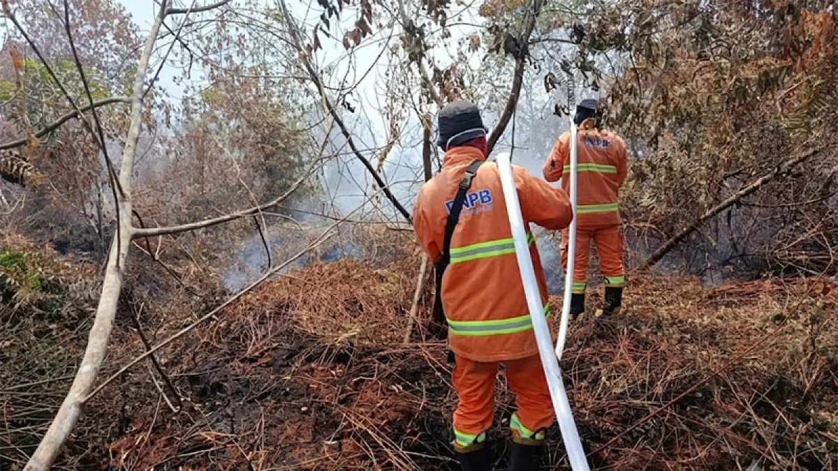 Tim TRC BPBD Kampar bersama Satgas Gabungan memadamkan api yang membakar lahan di Desa Pagaruyung, Kecamatan Tapung, Kabupaten Kampar, Sabtu (22/8/2026). BPBD Kampar untuk Riaupos.co