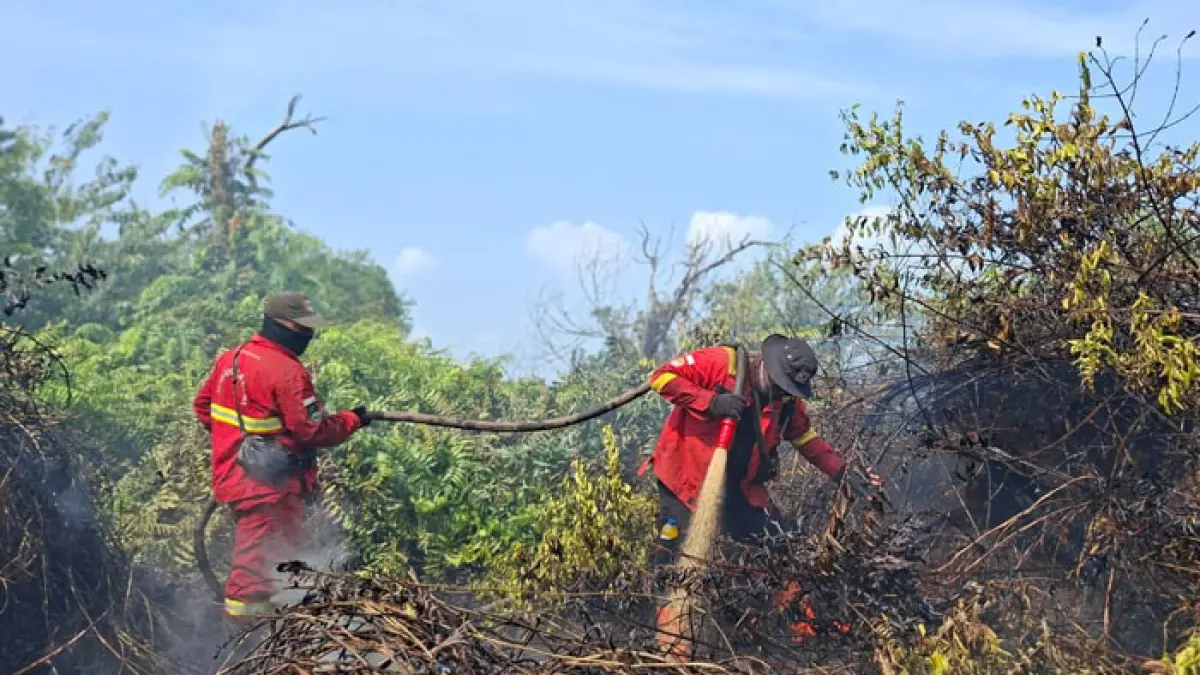 Personel Manggala Agni Rengat terus berupaya melakukan pemadaman Karhutla di Desa Sungai Guntung Hilir Kecamatan Rengat dengan pola pendinginan, Ahad (23/8/2026). (Manggala Agni Rengat untuk Riaupos.co)