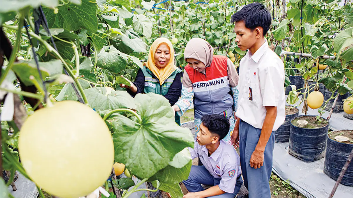 Officer Media Relation PHR Zona 1 Renita Yulia Kuswindriati bersama petani melon mitra binaan Pertamina EP Rantau Field,  memberikan edukasi melon kepada siswa SMA di acara wisata petik melon, Kampung Tanjung Seumantoh, Aceh Tamiang. Pertamina EP Rantau Field bagian Pertamina Hulu Rokan (PHR) Zona 1 merancang Program Pelibatan dan Pengembangan Masyarakat (PPM) untuk membantu mitra binaan kembali mandiri pascabanjir. (PHR UNTUK RIAU POS)