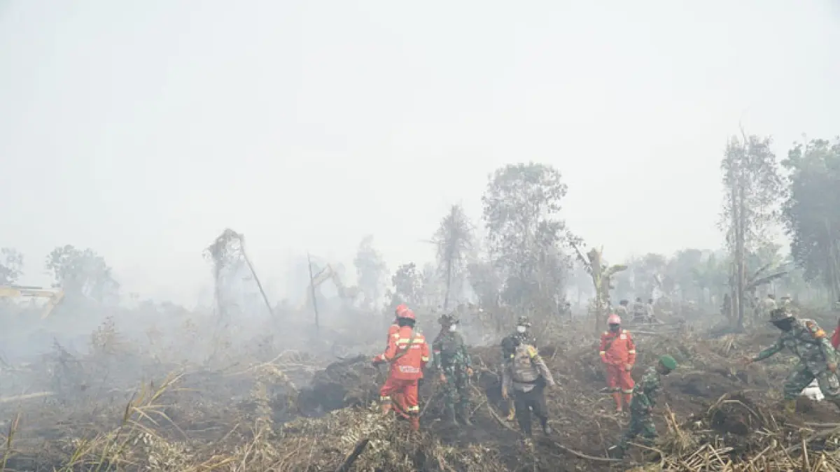 Upaya pemadaman kebakaran hutan dan lahan di Rimbopanjang yang batal dikunjungi Presiden RI Prabowo Subianto,Kampar, Senin (24/8/2026). (Mhd Akhwan/Riaupos.co)